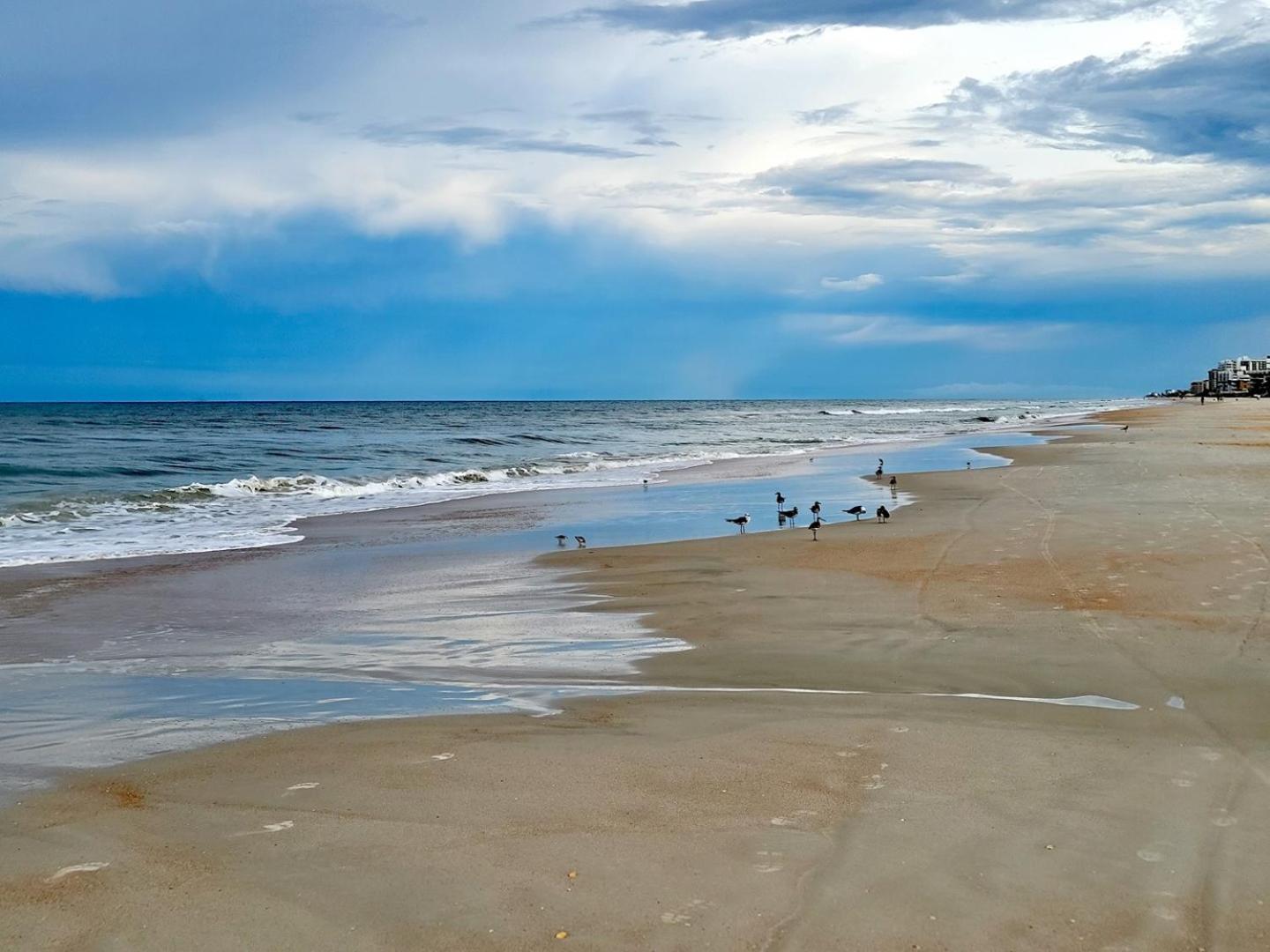 404 - Beautiful 2/2 Ocean View Lejlighed New Smyrna Beach Eksteriør billede